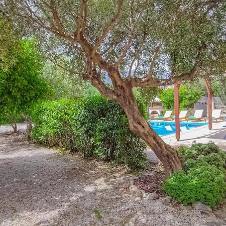 Willa Lemon Tree With Private Pool Fres