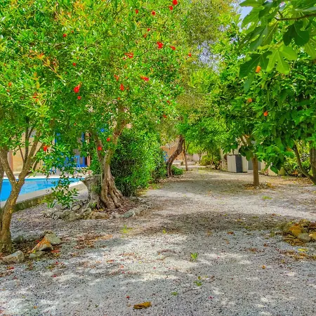 Willa Lemon Tree With Private Pool *