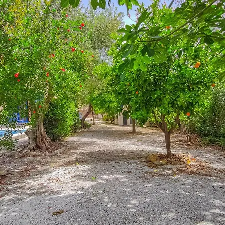Lemon Tree With Private Pool Willa